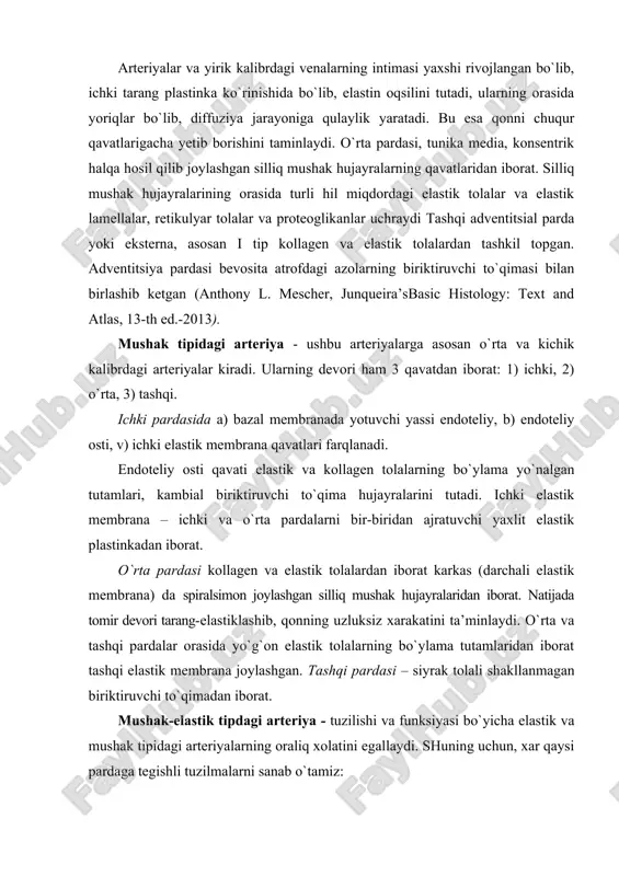 lali shakllanmagan biriktiruvchi to`qimadan iborat. mushak-elastik tipdagi arteriya - tuzilishi va funksiyasi bo`yicha elastik va mushak tipidagi arteriyalarning oraliq xolatini egallaydi. shuning uchun, xar qaysi pardaga tegishli tuzilmalarni sanab o`tamiz: ichki parda: a) endoteliy, b) subendoteliy, v) ichki elastik membrana. o`rta parda: teng miqdorda silliq miotsit va darchali elastik membranalar tutadi. tashqi parda siyrak tolali shakllanmagan biriktiruvchi to`qimadan iborat, unda v. vasorum, n. vasorum, elastik va kollagen tolalarning bo`ylama va qiyshiq yo`nalgan tutamlari joylashgan. mikrotsirkulyator tomirlar sistemasi. mikrotsirkulyator tomirlar sistemasi – bir-biri bilan anastomozlar xosil qilgan tomirlarning murakkab struktur-funksional kompleksidan iborat. mikrotsirkulyator tomirlar sistemasi o`z ichiga arteriolalar, gemokapillyarlar, venulalar, arteriolo-venulyar anastomozlar, limfa kapillyarlari, siyrak biriktiruvchi to`qimani oladi; qon aylanishining boshqarilishi, transkapillyar modda almashinuvi hamda drenaj-depo funksiyasini ta’minlaydi, maxalliy gomeostazni va a’zoning struktur-funksional birligini optimal faoliyatini boshqaradi. arteriolalar – arteriya va kapillyarlarni bir-biri bilan bog`lovchi mayda mushak tipidagi tomirlardir (d-50-100 mkm). arteriyalardagi singari devori 3 qavatdan iborat: 1) ichki 2) o`rta …