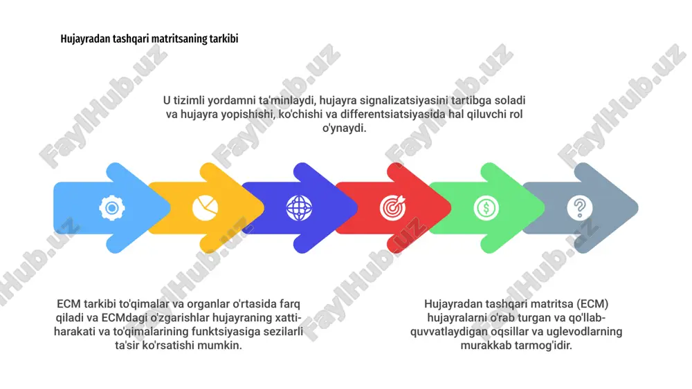 hujayra va hujayradan tashqari matriks orasidagi munosabatlar - Page 4
