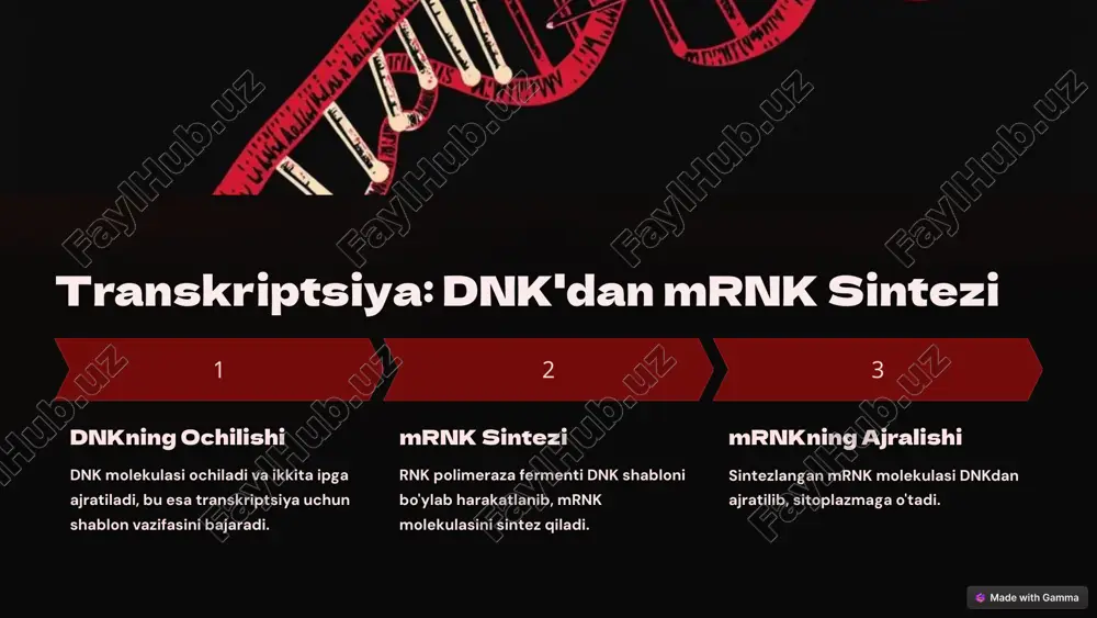 larda bioteknologik usullarga nisbatan arzonroq va samaraliroq bo'lishi mumkin. 3.atrof-muhit va bioxavfsizlik xavflari: biosintez jarayonlarida qo'llaniladigan mikroorganizmlar yoki boshqa biologik tizimlar ba'zi atrof-muhit xavf-xatarlarini keltirib chiqarishi mumkin, masalan, qo'ziqorinlar yoki bakteriyalarni nazorat qilishdagi muammolar. xulosa: oqsil biosintezi jarayoni biotexnologiya va ilmiy tadqiqotlar sohasida katta imkoniyatlar yaratadi. biroq, uning samaradorligi va ommaviy ishlab chiqarilishi uchun bir qator texnologik, iqtisodiy va ijtimoiy qiyinchiliklar mavjud. yuqori samarali va ekologik toza ishlab chiqarish usullariga erishish bu jarayonni yanada takomillashtirishga yordam beradi. e’tiboringiz uchun raxmat ! image1.png image2.png image3.png image4.png image5.png image6.png image7.png image8.png image9.png image10.png image11.png image12.png image13.png image14.png image15.png image16.png image17.png image18.png