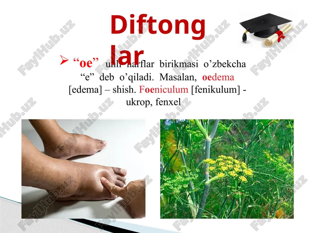 lotin tilida tibbiy terminologiya o'qituvchisi - Page 4