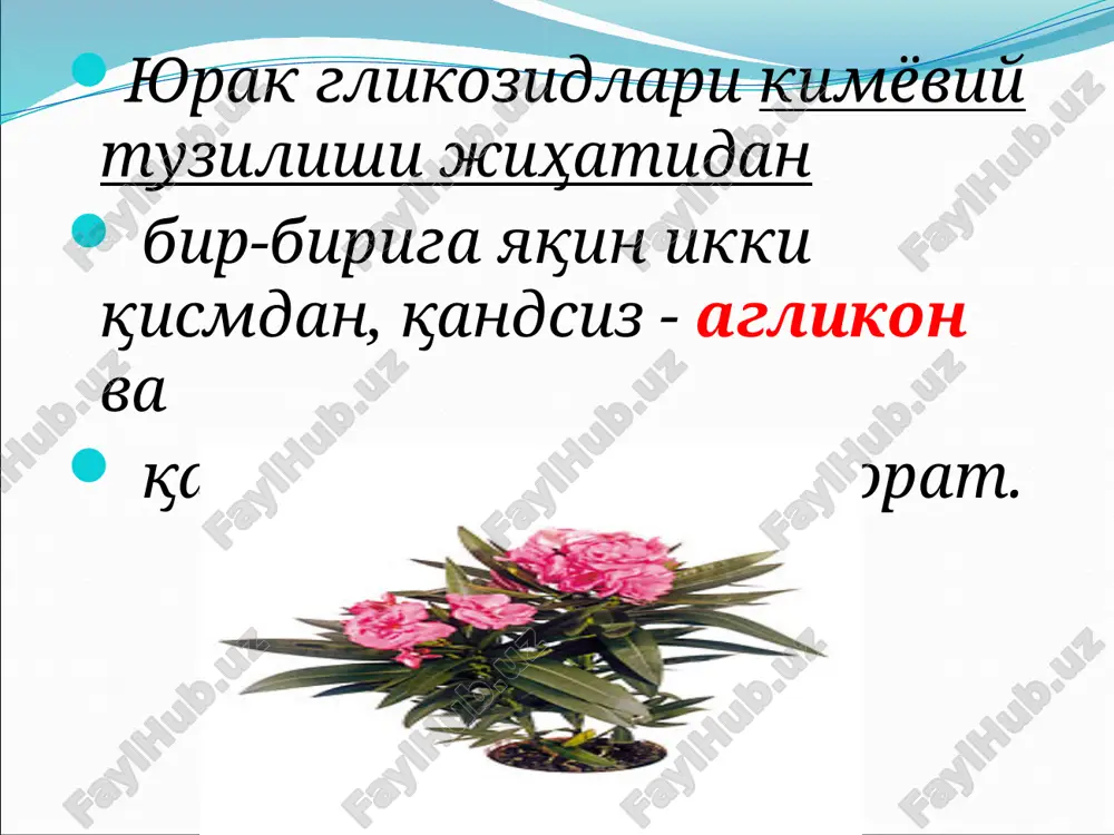 yurak glikozidlari - Page 4