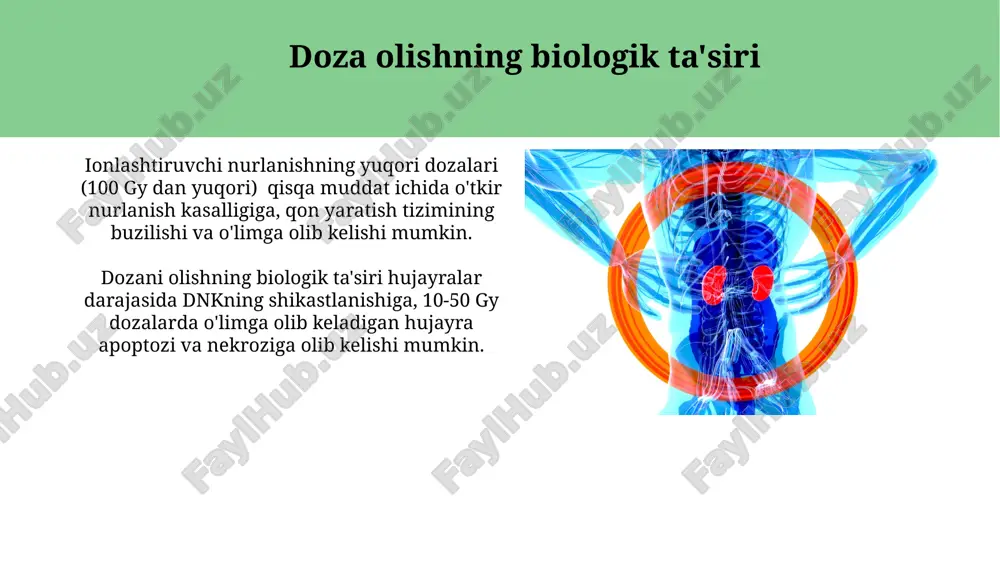 yutilgan nurlar energiyasini dozimetrik baholash - Page 4