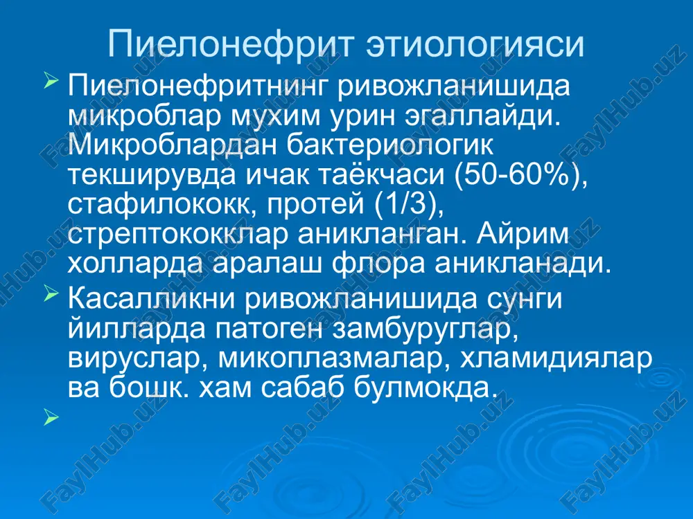 лиши буйича огрик кузатилади сийдик тута олмаслик холати, сийиши купаяди ёки камаяди кам холларда кузатилади деярли кузатилмайди деярли кузатилмайди пиелонефрит диагностикаси уткир пиелонефрит диагностикасида лаборатор ва асбобли текширув усуллари мухим урин тутади. пиелонефрит учун сийдик анализида 0,5-1г. суткасига микдоридан ортик протеинурия, микроскоп курув майдонида 15-20 ва ундан ортик лейкоцитлар борлиги, бир неча узгармаган ва ишкорланган эритроцитлар, цилиндрлар аникланиши характерлидир. сийдик чукмаси микдорини текширишда аддис-каковский, амбурже, нечипоренко усуллари кенг кулланилади. пиелонефритнинг диагностик белгиларидан бири булиб сийдикда лейкоцитар цилиндрларни аниклаш хисобланади. буларнинг сийдикда булиши буйрак найчалари яллиглангандан дарак беради. сийдикда донадор цилиндрларни аникланиши нефрон каналчаларида дегенератив узгаришлар бораётганидан дарак беради. пиелонефрит мухим диагностик белгиларидан яна бири бактериурия 1 мл сийдикда 100 000 ва ундан ортик микроблар таначалари аникланиши - шубхасиз патологик бактериурия деб хисобланади. 50-100 минг микроб таначалари аникланса - булиши мумкин тахминий патологик бактериурия хисобланади. агар 1мл сийдикда бактериялар микдори 10 мингдан кам булса бу беморда пиелонефрит касаллиги йуклигидан дарак беради. …