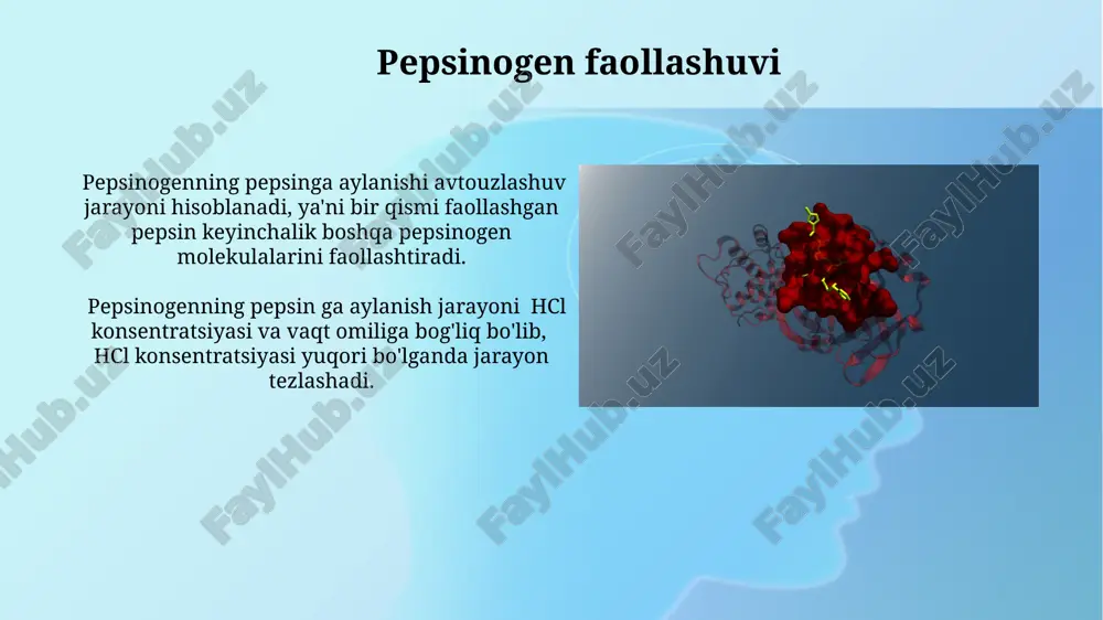 ti uchun optimal ph 1.5-2.0 oralig'ida bo'lib, ph ning 7 ga ko'tarilishi uning fermentativ aktivligini deyarli butunlay yo'qotadi. ba'zi ferment inhibitörlari raqobatbardosh bo'lib, fermentning faol markaziga substrat bilan raqobatlashadi, shu bilan ferment-substrat kompleksini hosil bo'lishini 2-3 baravar sekinlashtiradi. pepsin fermenti pepsin fermentining optimal faoliyati ph 1,5-2,5 oralig'ida kuzatiladi, bu oshqozonning yuqori kislotalilik muhitiga mos keladi va oqsillarni parchalashda yuqori samaradorlikni ta'minlaydi. oshqozon kislotaligining pasayishi (masalan, ph 5 dan yuqori) pepsin fermentining faolligini sezilarli darajada kamaytiradi, natijada oqsil hazm qilish jarayoni sekinlashadi va ovqat hazm qilish buzilishlariga olib kelishi mumkin. e'tiboringiz uchun rahmat @taqdimot_robot image2.jpg image3.jpg image4.jpg image5.jpg image6.jpg image7.jpg image8.jpg image9.jpg image10.jpg image11.jpg image12.jpg image13.jpg image14.jpg image15.jpg image16.jpg image17.jpg image18.jpg image1.png