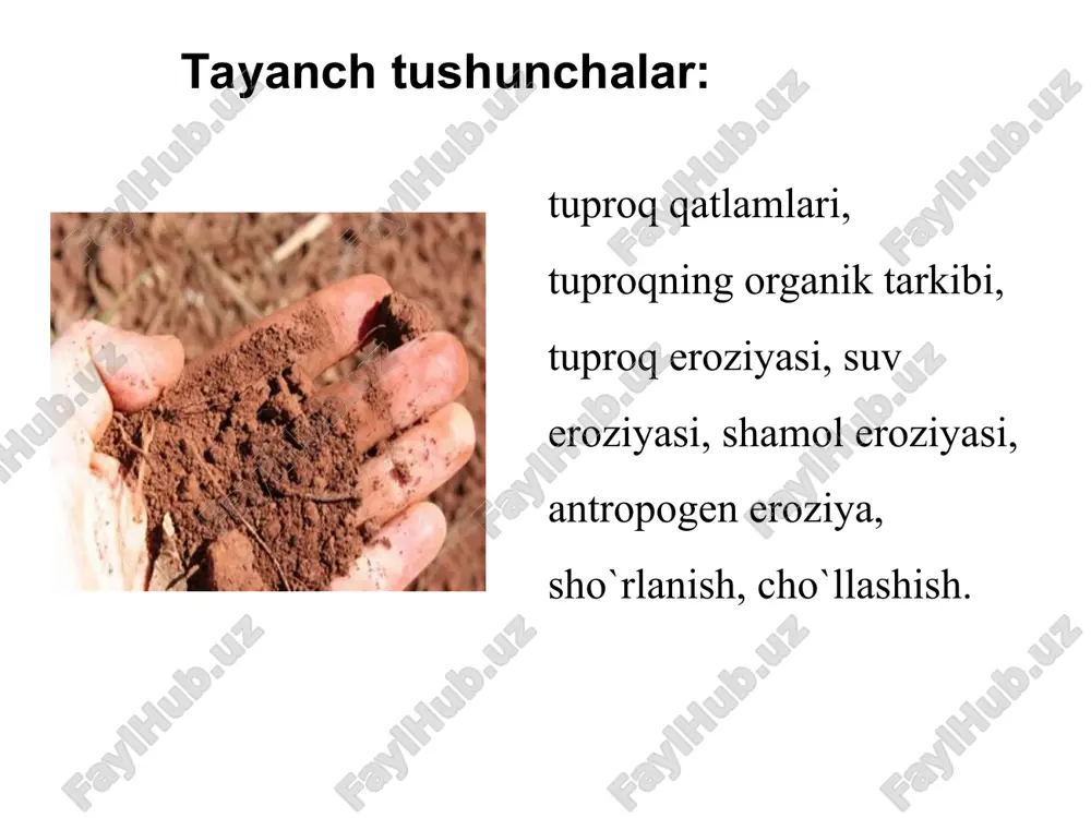 uqori qismiga ko`tarilgani qo`ymagan, yerni zaxlanishi va sho`rlanishini oldini olishga yordam bergan. turunlik yillarida xo`jaliklarning yerlari atrofidagi mevali daraxtlar qo`porib tashlanib ekinzorlar kengaytirildi.buning oqibatida atrofi ochiq (yalang) qolgan dalalarga kuchli esgan shamol tuproqning unumdor qismini o`chirib, eroziyaga uchrashini kuchaytirdi. bunday hol qashqadaryo viloyatining nishon, chiroqchi, qamashi, muborak, mirishkor kabi tumanlarida ko`plab sodir bo`ladi. keyingi yillarda kimyoviy preparatlarni dehqonchilikka qo`llash ancha tartibda olingan bo`lsa ham, 1993 yilda viloyatimizning nishon, dehqonobod, qamashi, koson rayonlarida makrokko chigirtkasiga qarshi 12 t geksoxloran, 1,5 t xlorofos, 2t bi-58 kabi juda zaxarli moddalar qo`llanildi. yerda yiilib qolgan bu zaxarli moddalar o`simlik ildizi orqali surilib, uning mevalariga yiildi, xashaklar orqali hayvonlar organizmiga o`tib, uni zaxarlaydi. kishilar tarkibida me`yoridan bir necha marta ko`p zaharli kimyoviy moddalar bo`lgan suv, oziq-ovaqatli moddalarni iste`mol qilganlari uchun oshqozon-ichak, jigar, nafas olish organlari, nerv sistemasi kasalliklari, shamollash, allergiya, ankologik kabi kasalliklarga ko`p duchor bo`lishdi. ovqat orqali tushgan kimyoviy zaharli moddalar organizmni, immunitet hosil …