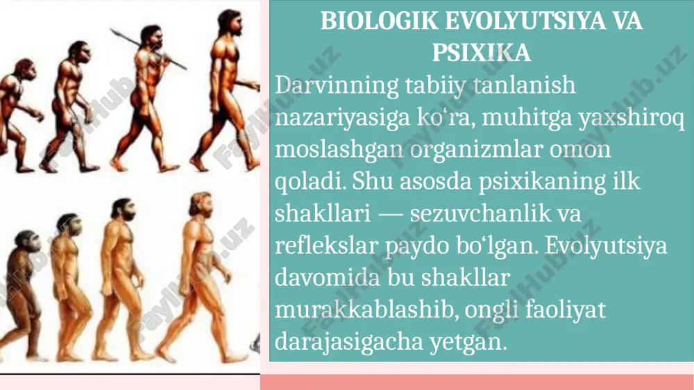 psixikaning evolyutsiyasi va vujudga kelishi - Page 4