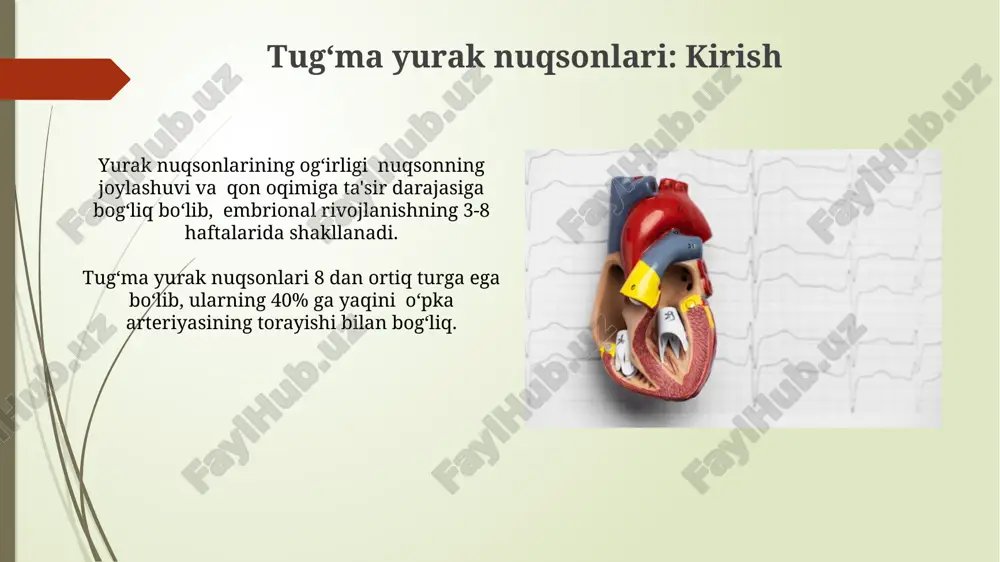 yurakning rivojlanish nuqsonlari - Page 4