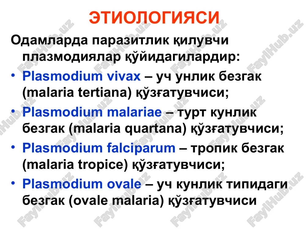 акция юзага келиши учун зарур бўлган паразитемия даражаси) етган тақдирдагина юзага келади. безгакда албатта, қон-томир деворлари, айниқса капиллярлар жароҳатланади ва оқибатда қон димланиши, эритроцитар тромбларни пайдо бўлиши, ўтказувчанликни бузилиши, бинобарин, паренхиматоз ҳужайраларда (жигар, мия ва б.) кислород етишмовчилиги, сероз яллиғланиш ва некробиотик ўзгаришлар кузатилади. тропик безгакда эритроцитар шизогония асосан бош мия, жигар, буйрак, ичак, талоқ, суяк кўмиги, панкреас, плацента капиллярларида кечганлиги туфайли махаллий гемодинамика кўп даражада бузилиб, тромбоз, некроз ва гранулемалар юзага келади. бошқа плазмодияларда эритроцитар шизогония асосан периферик қонда кечганлиги сабабли, бундай ўзгаришлар камроқ кузатилади. аллергик реакциянинг оқибати ўлароқ қон томир ичида тарқоқ қон ивиш (двс) синдроми ва тромбоцитопениянинг ривожланиши микроциркуляция бузилишини янада чуқурлаштириб геморрагик синдром, энцефалопатия ва нефропатия (азотемия ва олигурия билан) ривожланишига олиб келади. тропик безгакда тез кўпайган паразит, парчаланган эритроцитлар ва эндопирогенларни умумий қон оқимига тушиши и н ф е к ц и о н-т о к с и к ш о к ривожланишига ва у …