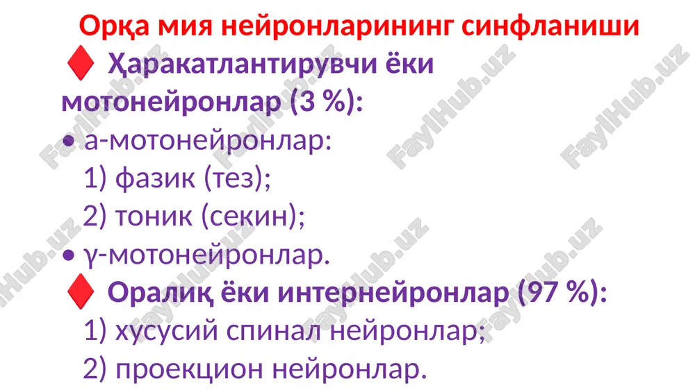 ва оёқ кафтининг букилиши i-ii думғаза сегментлари оёқ кафтини кучли қитиқлаш панжаларнинг ёзилиши ва оёқнинг букилиши тизза рефлекси ахиллов рефлекси оёқ-кафт рефлекси (патологияда (бабинский рефл.) ва нормада) билакнинг букилиш рефлекси билакнинг ёзувчи рефлекси қорин рефлекси амалиётда орқа мия пай (чўзилиш) рефлекслари ёрдамида қуйидагилар аниқлаш мумкин: 1. патологик ўчоқ орқа миянинг қайси даражасида жойлашганлигини; 2. нерв марказлари қўзғалишларининг етарли эмаслиги ёки ортиқча бўлишини; 3. патологик ўчоқ орқа миянинг қайси томонида эканлигини. орқа илдиз олд илдиз i. нафас тўхташи туфайли ўлим ii. қўлларнинг чала ва оёқларнинг тўла фалажлиги iii. оёқларнинг фалажлиги а б g.spinalis орқа мияда функционал хоссаларига кўра 3 хил (афферент ва эфферент) нерв толалари фарқланади: ассоциатив толалар орқа мия турли қисмлари билан бир томонлама алоқаларни таъминлайди. турли сегментларни боғлаб, улар орқа мия сегментар аппаратининг қисмлари бўлган хусусий тутамларни ҳосил қилади. комиссурал толалар орқа миянинг функционал бир хил тескари томонларидаги турли бўлимларини боғлайди. проекцион толалар орқа мияни мнс нинг юқори бўлимлари …