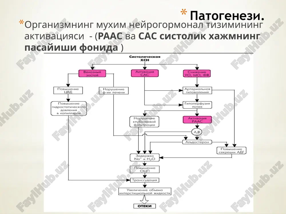 крепитация тахикардия норегуляр пульс тахипноэ (чдд 16/мин дан ортиқ) гепатомегалия асцит кахексия шишлар ва буйин веналарининг буртиши. лаборатор диагностика сюе ташҳислашда натрийуретик гормонлар (нуп) аниқланиши шарт уқт, уст, электролитлар (калий, натрий), креатинин, кфт, глюкоза, hba1c, липид профил, жигар ферментлари. инструментал диагностика сюе ташҳислашда экг ва эхокг текширув усуллари катта роль ўйнайди. электрокардиография 12-каналли экг ёрдамида юрак ритми юрак қисқариш сони qrs морфологияси ва давомийлиги ав ва қоринчалар ўтказувчанлиги (гтчоб, гтўоб) миокардни чандиқли ўзгаришларни миокард гипертрофия белгиларини аниқлаш мумкин альтернирловчи пульс чап коринчанинг огир дисфункциясидан дарак бериб, тугри ритмли катта ва кичик амплитудали пульс тулкинларининг алмашинуви хисобланади ва юрак кискаришлар кучининг хар хиллиги билан характерланади. эхокардиография юрак чап қоринчасининг систолик фаолиятини баҳолаш учун чқфв-чқзҳ аниқлаш зарур . чап қоринчанинг диастолик фаолиятини аниқлаш зарур эхокг кўкрак қафаси рентгенографиси экг ва клиник белгилар билан таққослаган ҳолада кардиоторакал индексни аниқлаша (кардиомегалияда кардио-торакал индекс (кти)>50%), ўпка гемодинамикаси бузилишларни инкор қилиш (веноз, артериал ўпка гипертензиси), синусларда …