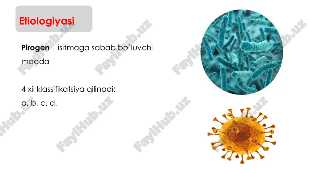 bezgak 4. gektik isitma (febris hectic) ● ertalab t◦ norma , hatto undan past ● kechki t ◦ > ertalabki t ◦ ● farq = 2-4 ◦c kasalliklar: − sil − sepsis 5. teskari isitma (febris intervesus) ● kechki t ◦ > 37 ◦c ● kechki t ◦ terotogen ta`sir isitmada metabolizmi ● umumiy almashinuv ↑ → o₂ va oziq iste`moli ↑ → bemor ishtahasi yo`qligi sababli endogen energiya manbaalaridan foydalanadi → vazn yo`qotadi ● teri va nafas orqali suv yo`qotilishi → suvga ehtiyoj ↑ → kichik bolalar va og’ir bemorlarda suvsizlanish ►ma`lumot ● isitmada ko`p suyuqlik ichish tavsiya qilinadi. chunki : − yuqoridagi suvsizlanish oldini olish − sirkulyatsiya hajmi ↑ → diurez ↑ → qondagi toksinlar ham birga chiqib ketadi ● alkaloz (38-39 ◦ c) − nafas soni va alveolar ventilatsiya ↑ → qondagi co₂ ↓ → gipokapniya → gazli alkaloz ● atsidoz (t ◦ > 39 ◦c) − …