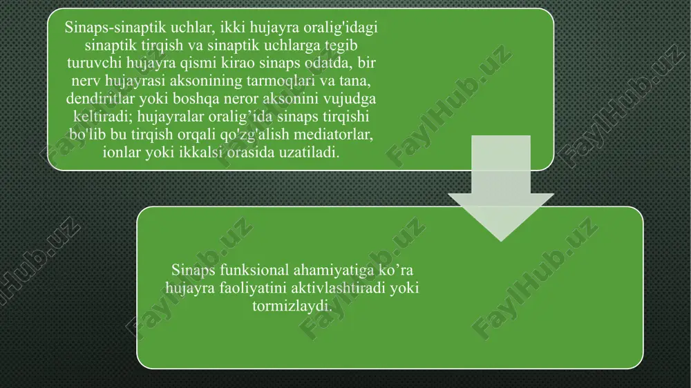 sinapslar fiziologiyasi - Page 4