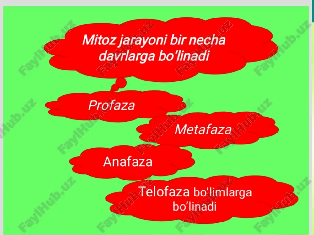 hujayraning mitotik va hayotiy sikli - Page 4