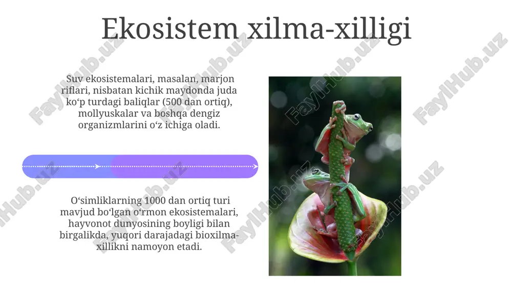 g oxiridagi ommaviy qirilish ko'plab turlarning yo'q bo'lib ketishini, ammo keyinchalik yangi turlarining paydo bo'lishini va evolyutsion radiatsiyani keltirib chiqardi. biologik xilma-xillikning paydo bo'lishi yerning 4,5 milliard yillik tarixi davomida, bir hujayrali organizmlarning paydo bo'lishidan murakkab ko'p hujayrali turlarning evolyutsiyasiga qadar bo'lgan jarayonni o'z ichiga oladi. genetik xilma-xillik genetik xilma-xillik diploid organizmlarda allellar sonining ko'payishi va ularning turli kombinatsiyalari hisobiga 10 6 dan ortiq genotiplar hosil bo'lishiga olib keladi. inson genomida taxminan 20000 ta gen mavjud bo'lib, ularning har biri ko'plab allellarga ega, bu esa genetik xilma-xillikning ulkan hajmini aks ettiradi. e'tiboringiz uchun rahmat @taqdimot_robot image4.jpg image5.jpg image6.jpg image7.jpg image8.jpg image9.jpg image10.jpg image11.jpg image12.jpg image13.jpg image14.jpg image15.jpg image16.jpg image17.jpg image18.jpg image19.jpg image20.jpg image1.jpeg image2.jpeg image3.jpeg