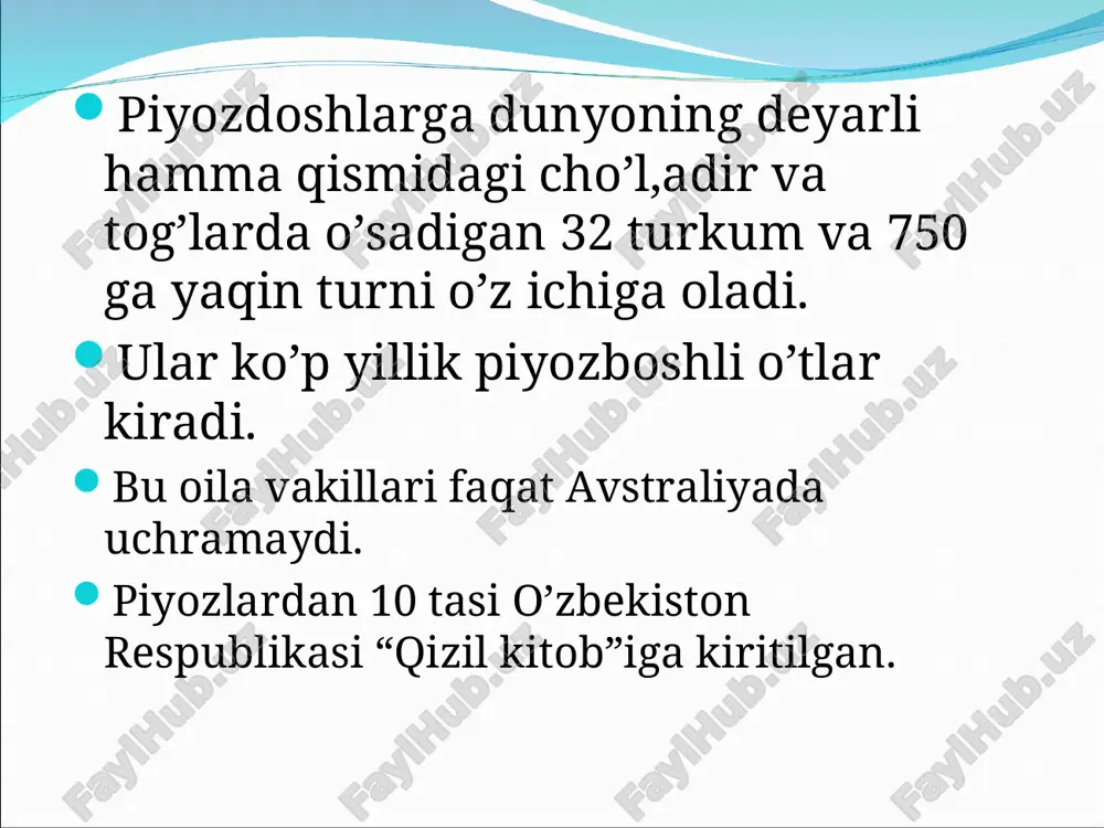 piyozdoshlar oilasi - Page 4