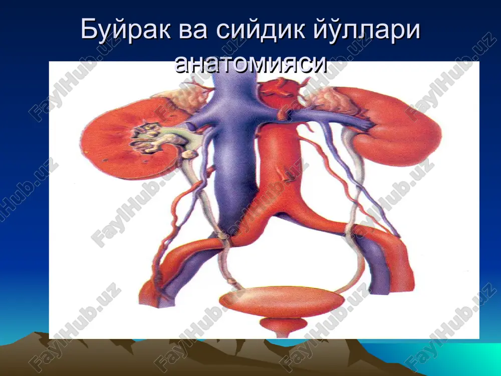glomerulonefrit - Page 4
