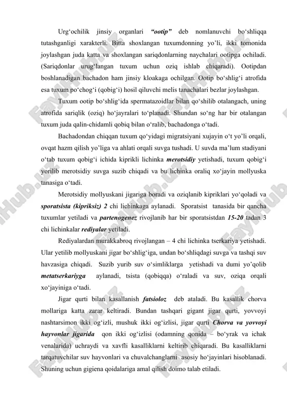 ngan – 4 chi lichinka tserkariya yetishadi. ular yetilib mollyuskani jigar bo‘shlig‘iga, undan bo‘shliqdagi suvga va tashqi suv havzasiga chiqadi. suzib yurib suv o‘simliklarga yetishadi va dumi yo’qolib metatserkariyga aylanadi, tsista (qobiqqa) o‘raladi va suv, oziqa orqali xo‘jayiniga o‘tadi. jigar qurti bilan kasallanish fatsioloz deb ataladi. bu kasallik chorva mollariga katta zarar keltiradi. bundan tashqari gigant jigar qurti, yovvoyi nashtarsimon ikki og‘izli, mushuk ikki og‘izlisi, jigar qurti chorva va yovvoyi hayvonlar jigarida qon ikki og‘izlisi (odamning qonida – bo‘yrak va ichak venalarida) uchraydi va xavfli kasalliklarni keltirib chiqaradi. bu kasalliklarni tarqatuvchilar suv hayvonlari va chuvalchanglarni asosiy ho‘jayinlari hisoblanadi. shuning uchun gigiena qoidalariga amal qilish doimo talab etiladi. cercomeromorpha. monogenetik sо‘rg‘ichlilar (monogenea) sinfiga umumiy tavsif. hozirgi vaqtda monogeniyalarning 1100 ga yaqin turi bor. ular suv umurtqalilar: baliqlar, amfibiyalar va sudralib yuruvchilarda ektoparazitlik qiladi. bosh qismida bitta so’rg’ichi bor. tanasining oxirgi qorin tomonida bir nechta so’rg’ichi bo’lgan yopishuvchi diski joylashgan. bu disk …
