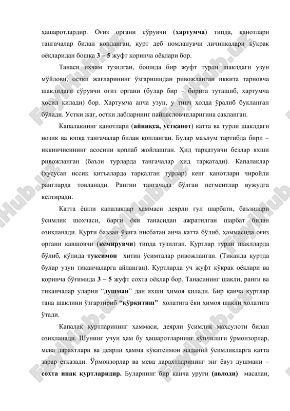 апалак, мўриқурт ва бошқалар олма, нок, беҳи, ўрик, бодом ва бошқа мева дарахтларининг барги, танаси ва мевасига катта шикаст етказиб, баъзи ҳолларда мева ҳосилини камайишига, ҳатто боғларни қуришига сабаб бўлади. “кузги қурт” лар кузги буғдойнинг янги унган майсасига катта зиён етказади. чунки, унинг капалаги 2 мингтагача тухум қўйиб, кўпаяди, қуртлар эса жуда хўран бўлади. қишлаган тухумларидан баҳорда чиққан капалаги ёзда ёввойи ўтларга тухум қўйиб кўпайиб, кузда улардан “кузги қурт” етишади. полиз – сабзавот экинлари ўртасида карам қурти (оқ карам капалаги) энг зараркунанда ҳашаротлардан. у карам ва бошқа сабзавот экинларига зиён етказади. булардан бошқа чўп халтачиси, маккажўхори куяси, кўсак қурти, кўк қурт, ёввойи тунлам каби капалакларнинг қуртлари ўрта осиё ва қўшни районларнинг ғалла макка, сабзавот (помидор, карам) беда ва бошқа экинларга катта зарар етказиб, ҳосилни камайтиради. кўсак қурти, ғўза куяси, ғўза барг қурти (карадрина) ғўзанинг энг хавфли зараркунандаси. кўк қурт тунлами кўпайган айрим йилларда пахта ҳосили камайиб кетади. асаларичилик хўжаликларига зиён …