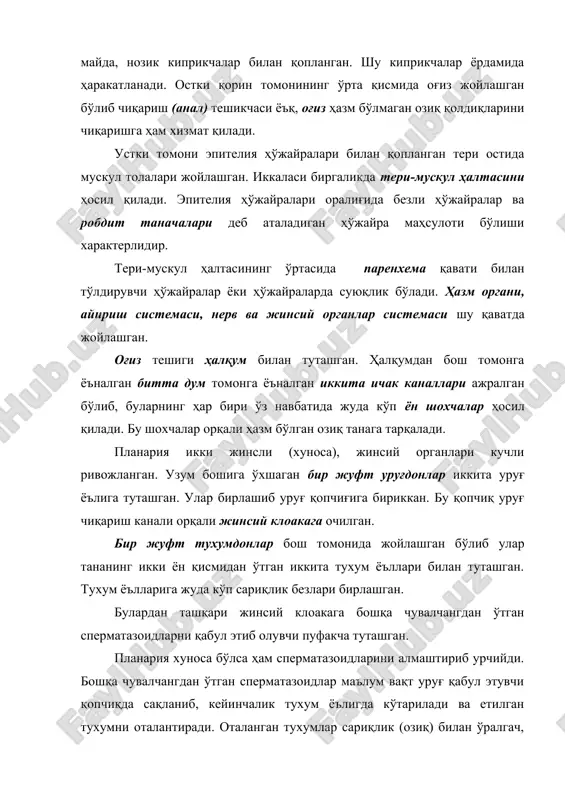 ўп тарқалган сўрғичлилардан. у кўпинча, қўй, эчки, қорамол, чўчқа, туя ва қуёнларнинг жигарларида (жигарнинг ўт ёълларида) паразитлик қилиб, мазкур ҳайвонларда турли касалликлар қўзғатади. ташқи томондан баргсимон, катталиги 3 см келадиган, оқ сарғиш ранг бош томонида бўртма бўлиб орқа томони суйрилашган. кутикула билан қопланган тери-мускул халтаси ҳосил қилган. бош бўртмасининг энг олдинги қисмида оғиз сўрғичи ва оғиз, бундан пастроқда каттагина қорин сўрғичи жойлашган. овқат ҳазм қилиш системаси - оғиздан бошланган калта ҳалқум иккита ичак каналлари билан туташган; ичакнинг ҳар икки “канали” дум томонга чўзилган бўлиб, ҳар бир канал ўз навбатида кўпгина шохчалар ҳосил қилади. сўриб олинган суюқ озиқ шу системада ҳазм бўлади. жинсий органлар системаси ва ривожланиши – турбилларияларнинг мазкур органлари типида тузилган бўлсада – кучли ривожланган. у деярли гавдани ҳамма қисмини эгаллаган. хуноса, уруғлари иккита уруғ ёъли найчалари битта уруғ чиқариш каналига бирлашади. мускуллашган уруғ чиқариш канали ташқарига қайрилиб чиқа олади, (бу қўшилиш органи - тсиррус) деб аталади. урғочилик жинсий …