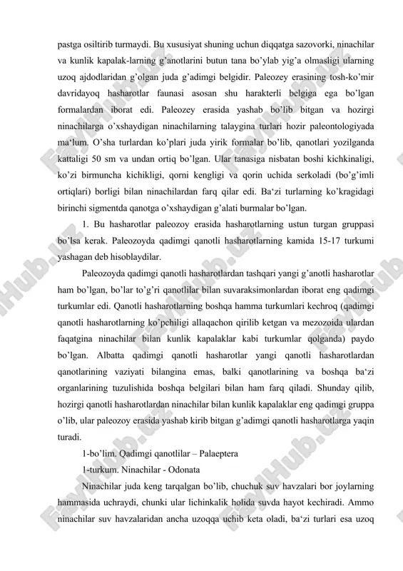 ko’zi birmuncha kichikligi, qorni kengligi va qorin uchida serkoladi (bo’g’imli ortiqlari) borligi bilan ninachilardan farq qilar edi. ba‘zi turlarning ko’kragidagi birinchi sigmentda qanotga o’xshay​digan g’alati burmalar bo’lgan. 1. bu hasharotlar paleozoy erasida hasharotlarning ustun turgan gruppasi bo’lsa kerak. paleozoyda qadimgi qanotli hasharotlarning kamida 15-17 turkumi yashagan deb hisoblaydilar. paleozoyda qadimgi qanotli hasharotlardan tashqari yangi g’anotli hasharotlar ham bo’lgan, bo’lar to’g’ri qanotlilar bilan suvaraksimonlardan iborat eng qadimgi turkumlar edi. qanotli hasharotlarning boshqa hamma turkumlari kechroq (qadimgi qanotli hasharotlarning ko’pchiligi allaqachon qirilib ketgan va mezozoida ulardan faqatgina ninachilar bilan kunlik kapalaklar kabi turkumlar qolganda) paydo bo’lgan. albatta qadimgi qanotli hasharotlar yangi qa​notli hasharotlardan qanotlarining vaziyati bilangina emas, balki qanotlarining va boshqa ba‘zi organlarining tuzulishida boshqa belgilari bilan ham farq qiladi. shunday qilib, hozirgi qanotli hasharotlardan ninachilar bilan kunlik kapalaklar eng qadimgi gruppa o’lib, ular paleozoy erasida yashab kirib bitgan g’adimgi qanotli hasharotlarga yaqin turadi. 1-bo’lim. qadimgi qanotlilar – palaeptera 1-turkum. ninachilar - …