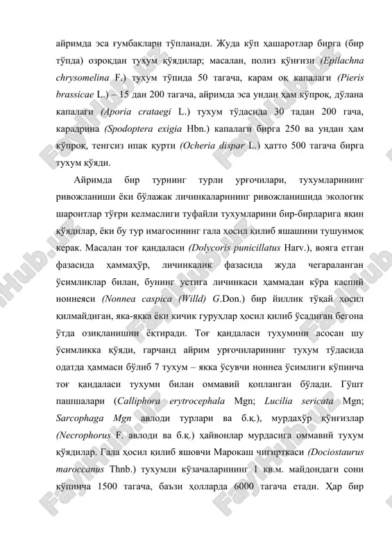 spica (willd) g.don.) бир йиллик тўқай ҳосил қилмайдиган, яка-якка ёки кичик гуруҳлар ҳосил қилиб ўсадиган бегона ўтда озиқланишни ёқтиради. тоғ қандаласи тухумини асосан шу ўсимликка қўяди, гарчанд айрим урғочиларининг тухум тўдасида одатда ҳаммаси бўлиб 7 тухум – якка ўсувчи ноннеа ўсимлиги кўпинча тоғ қандаласи тухуми билан оммавий қопланган бўлади. гўшт пашшалари (calliphоra erytrocephala mgn; lucilia sericata mgn; sarcophaga mgn авлоди турлари ва б.қ.), мурдахўр қўнғизлар (necrophorus f. авлоди ва б.қ.) ҳайвонлар мурдасига оммавий тухум қўядилар. гала ҳосил қилиб яшовчи марокаш чигирткаси (dociostaurus maroccanus thnb.) тухумли кўзачаларининг 1 кв.м. майдондаги сони кўпинча 1500 тагача, баъзи ҳолларда 6000 тагача етади. ҳар бир кўзачадаги тухум сони 18 тадан 42 тагача, ўртача -30-35 та бўлади (яхонтов, 1969). табиийки, бундай шароитларда, шундай бўлсада ривожланишнинг дастлабки даврида личинкаларнинг тўпланиши кузатилади. кўпчилик турлар личинкалари ҳаёти учун улар тўпланиб, ҳаёт кечириши барча ривожланиш даврига хос ҳусусиятдир. кўпчилик капалакларнинг қуртлари, масалан, дўлана капалаги, карадрина, тенгсиз ипак қурти фақат биринчи …