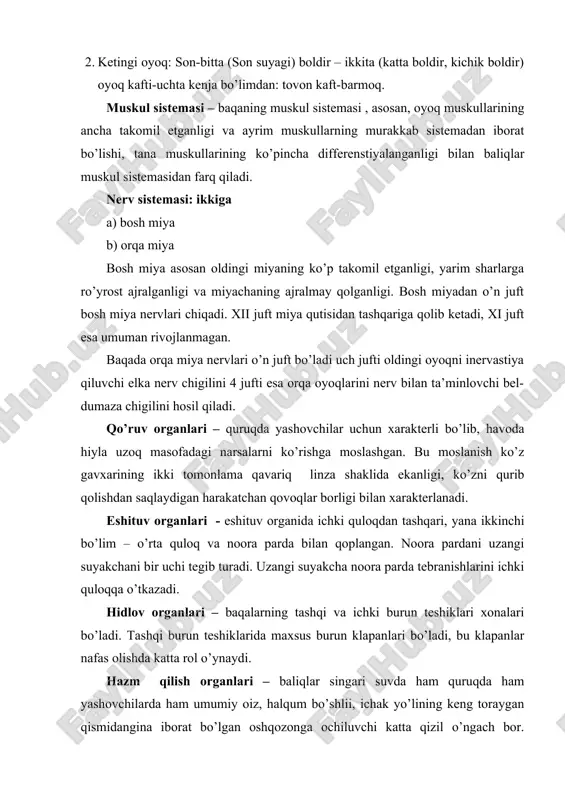 nerv bilan ta’minlovchi bel-dumaza chigilini hosil qiladi. qo’ruv organlari – quruqda yashovchilar uchun xarakterli bo’lib, havoda hiyla uzoq masofadagi narsalarni ko’rishga moslashgan. bu moslanish ko’z gavxarining ikki tomonlama qavariq linza shaklida ekanligi, ko’zni qurib qolishdan saqlaydigan harakatchan qovoqlar borligi bilan xarakterlanadi. eshituv organlari - eshituv organida ichki quloqdan tashqari, yana ikkinchi bo’lim – o’rta quloq va noora parda bilan qoplangan. noora pardani uzangi suyakchani bir uchi tegib turadi. uzangi suyakcha noora parda tebranishlarini ichki quloqqa o’tkazadi. hidlov organlari – baqalarning tashqi va ichki burun teshiklari xonalari bo’ladi. tashqi burun teshiklarida maxsus burun klapanlari bo’ladi, bu klapanlar nafas olishda katta rol o’ynaydi. hazm qilish organlari – baliqlar singari suvda ham quruqda ham yashovchilarda ham umumiy oiz, halqum bo’shlii, ichak yo’lining keng toraygan qismidangina iborat bo’lgan oshqozonga ochiluvchi katta qizil o’ngach bor. oshqozon o’z navbatida chin ichakka aniq chegarasiz qo’shilib ketadi. chin ichakka oldingi ichak o’rta ichakdan bilinar-bilinmas darajada chegaralashib turadi. lekin …