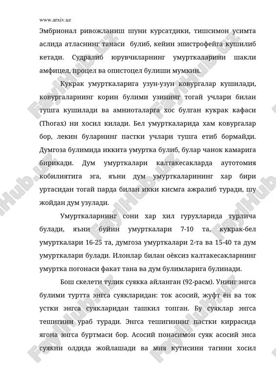 болдир суги, 13-кичик болдир суяги, 14-товон олди суяги, 15-товон суяги, 16-дум умурткалари. тошбакаларда ва айникса тимсохларда жагоралик, устки жаг суякларининг танглай усимталари ва танглай суяклари кушилиб, иккиламчи танглай хосил килади. шу сабабли хоаналари оркага, хикилдок томонда жойлашган, бу уларни сувдан бурнини чикариб нафас олишига имкон беради. пастки жаг кушилиш, тишсимон, бурчак, бурчак усти (suproangulare) ва тож (coronare) суякларидан ташкил топган. гиомондибуляре суяги амфибиялардагидек узанги суягига айланади ва урта кулок бушлигида жойлашади; гиоид суяги эса жабра ёйлари билан кушилиб тил ости аппаратига айланади. чайнаш мускулларининг эволюцияси бош скелетнинг усти ва ён томонидаги суякларни кайта курилиши билан боради. бу эволюция судралиб юрувчиларни хар хил гурухларида турлича йул билан боради. анапсида гурухини хосил килган котилозаврлар ва тошбакаларда бирламчи яхлит (стегал) бош скелетнинг копкоги сакланган. 92-расм. калтакесакнинг бош скелети. а-устки томондан кўриниши; б-пастки томондан кўрниши; в-ён томондан кўрниши; 1-энгса тешиги, 2-ён энгса суяги, 3-устки энгса суягса суяги, 4-асосий энгса суяги, 5-энгса буртмаси, 6-асосий понасимон …
