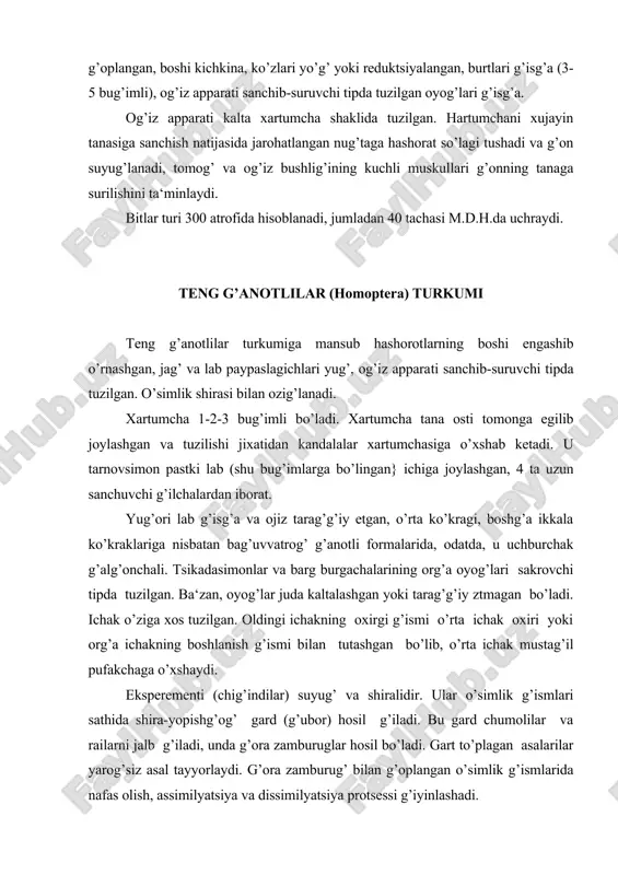 ib, g’ora zamburug’ bosishiga yoki o’simlik g’ismlarining bir-biriga yopishib g’olishiga sababchi bo’ladi. teng g’anotlilarning 30 mingga yag’in turi ma‘lum, shundan 4 mingtasi m.d.h.da uchraydi. teng g’anotlilar turkumi tsikadalar, bargburgachalar, aleyroidlar, shiralar va koktsidiyalar, kenja turkumini o’z ichiga oladi. mazkur kenja turkum vakillari tashg’i ko’rinishidan va biologiya xususiyatlari jihatidan bir-biridan farg’ g’iladi. yarim qattiq qanotlilar yoki qandalalar (hemiptera) turkumi yarimg’attig’ g’anotlilar turkumiga tashg’i jihatdan xilma-xil, og’iz apparati sanchib-suruvchi tipda tuzilgan. ko’prog’ g’urug’likda va g’isman suvda hayot kechiruvchi hasharotlar kiradi. bo’rtlari 4-5 bug’imli. oldingi g’anotlari ko’pincha bir xil tuzilishda bo’lmasdan, yarimg’attik ustg’anotlar tashkil g’iladi. ba‘zan, g’anotlar kaltalashgan yoki bo’lmaydi. g’isman turlari etuk zotlarning org’a ko’krak yag’inida g’o’lansa xid chig’arishlarining yo’li bor. o’simlikxur turlari xujayrasi shirasi, yirtg’ichlari esa jasining tana suyug’ligi va nihoyat, parazitlari g’on surib ozig’lanadi. xartumchasi bug’imlarga bo’lingan, ya‘ni pastki lab 3-4 bug’imdan iborat. oldingi g’anotlari bir xil emas, xartumchasi boshg’acha o’rnashgan, old elkasi tarag’g’iy etgan. yarim ustg’anot yoki gemielitr va …