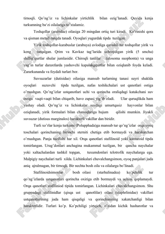 ’pchilik tur qo’ng’izlarda ustqanotlari qorincha oxiriga etib bormaydi va uchini qoplamaydi. orqa qanotlari stafiliniod tipida tomirlangan. lichinkalari chuvalchangsimon. shu gruppadagi stafilinidlar (qisqa ust qanotlilar) oilasi (staphrlinidae) vakillari ustqanotlarining juda ham qisqaligi va qorinchasining xakatchanligi bilan harakterlidir. turlari ko’p. ko’pchiligi yirtqich, o’zidan kichik hasharotlar va kanalarga xujum qiladi. etuk zoti, lichinkalari turli chirindi va go’ng oraliqida, toshlar kabi joylarda uchraydi. patqanotlilar (ptiliidae) oilasiga mansub qo’ng’izlar, juda mayda (tana uzunligi 0,25-2 mm) bo’lib, orqa qanotlari juda ingichka, uzun tuklar bilan qoplangan va ust qanotlari ostidan chiqib turadi. quruq gungda, o’simlik qoldiqlari ostida, hasharotlar inlarida uchraydi. ba‘zan to’da bo’lib yashaydi. skarabeidsimonlar bosh oilasi (sarabaeidea) gruppasiga yirik, qisman juda yirik qo’ng’izlar kiradi. ularning burtlari plakcha yoki taroqsimon tug’nag’ichboshli, panjalar tuzilishi 5-5-5. lichinkalari yirik, 3 juft oyoqli, tuproqda, gung yoki o’simlik chirindilarida uchraydi. plakcha bo’rtlilar (sarabaeidea) turlari ko’p oilalardan biri. issiq iqlimli tomonlarda keng tarqalgan. burtlari plakchali va yuqori jag’lari to’rtib chiqmagan. bir nechta kenja …