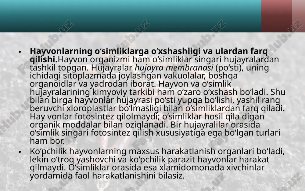 hayvon organizmining tuzilishi, hayvonlarni klassifikatsiya qilish. 7- sinf - Page 4
