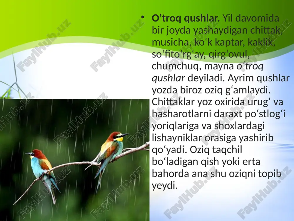 qushlarning mavsumiy hodisalarga moslashishi. 7- sinf - Page 4