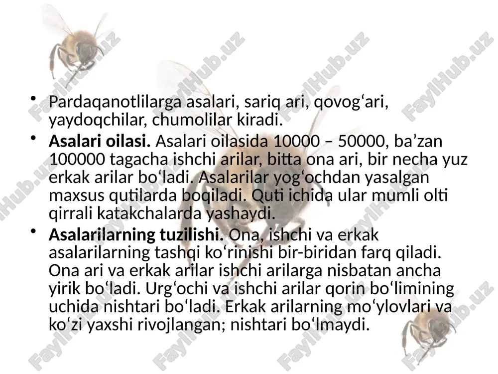 pardaqanotlilar turkumi asalarilar. 7- sinf - Page 4