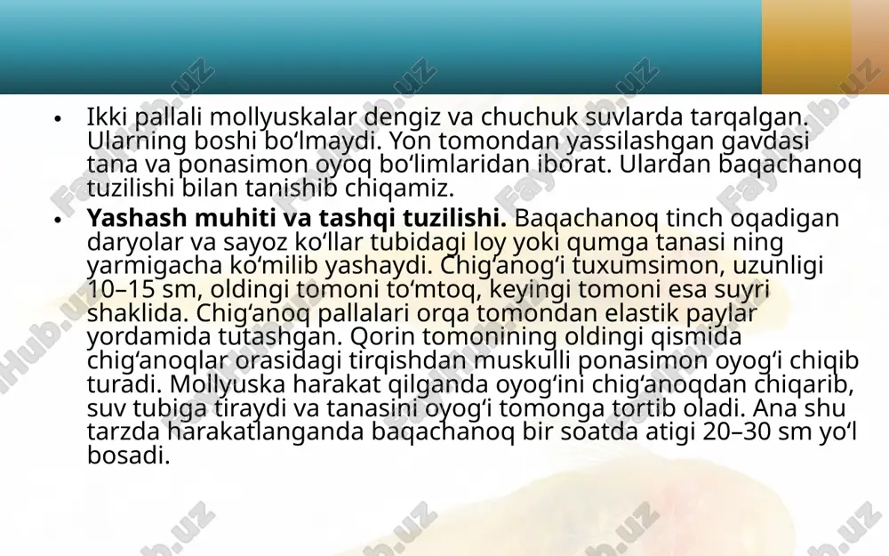 ikki pallali va boshoyoqli mollyuskalar sinfi. 7- sinf - Page 4
