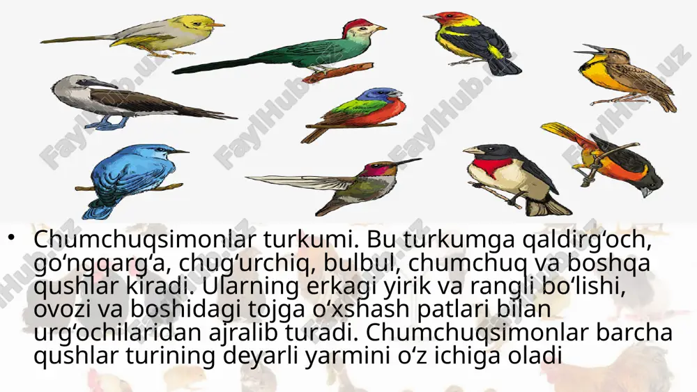 qushlarning xilma-xilligi voha va cho‘l qushlari. 7- sinf - Page 4