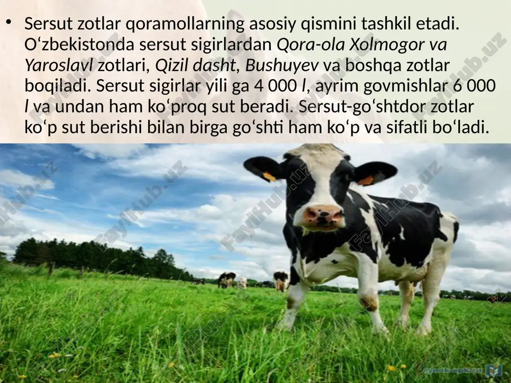 sutemizuvchilar sinfiga mansub chorva mollari. 7- sinf - Page 4