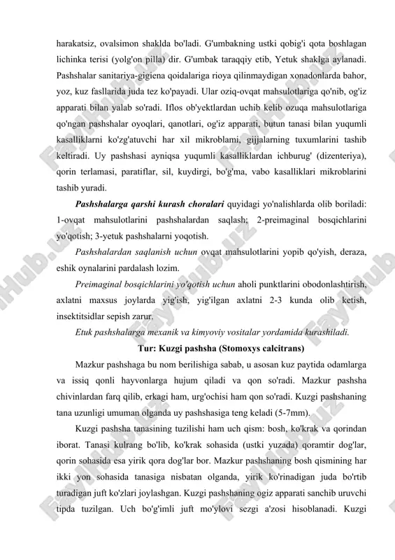 ng mexanik tashuvchisi hisoblanadi. uy pashshasiga qarshi qanday kurashilsa, kuzgi pashshaga qarshi ham shunday kurashiladi. tur: volfart pashshasi (wohlfahrtia magnifica) vol'fart pashshasi tanasining uzunligi 9-12 mm keladi. volfart pashshasi ham barcha hashoratlar kabi ayrim jinslidir. pashshaning tanasi uch qismdan iborat (rasm). volfart pashshasining bosh qismida og'iz apparati joylashgan. bosh qismining yon sohalarida juft bo'rtib chiqqan murakkab ko'zlari joylashgan. volfart pashshasining ko'krak qismi ham barcha hashoratlardagi singari uch segmentdan iborat bo'lib, ularda bir juftdan bo'g'imli oyoqlar bor. ko'kragining o'rta segmentida joylashgan juft qanotlar yirik serbar. pashsha och kulrang bo'lib, butun tanasining tashqi yuzasi mayin tuklar bilan qoplangan. vol'fart pashshasining boshqa pashsha turlaridan asosiy farqi shundaki bu pashsha odamlarni talamaydi (qon so'rmaydi), o'simliklar sharbati bilan oziqlanadi. volfart pashshasi tirik lichinkalar tug'adi. pashsha o'z lichinkasini yirik va mayda qoramollarning shilliq qavat pardalariga, xususan yaralarga, ochiq jarohatlarga qo'yadi. lichinka juda yirik bo'lib, yo'g'on chuvalchangsimon shaklga ega. lichinkasining tanasida maxsus kavlagich moslamasi bo'lib, lichinka tushgan …