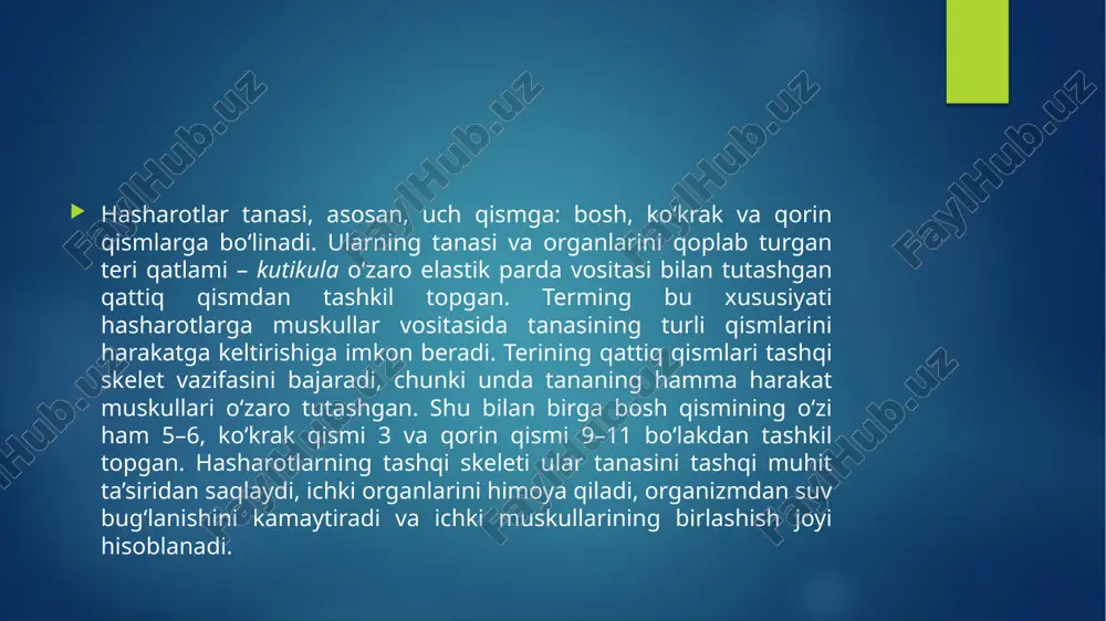 ikki tomondan har xil uzunlikdagi qilchalari bo‘ladi, bu qilchali mo‘ylov; bunday mo‘ylovning uchta bo‘g‘imidan bittasida oddiy yoki shoxlangan qilchasi bo‘ladi hasharotlar mo'ylovi xillari. 1- qilsimon, 2- ipsimon, 3, 4 - arrasimon, 5 - taroqsimon, 6 - to'g'nog'ichsimon, 7- cho'qmorsimon, 8- duksimon, 9- plasfinka-to'g'nog'ichsimon, 10-taroq tizzasimon, 11 - noto'g'ri, 12 - patsimon, 13 -qildor. hasharotlarning ko‘krak qismi hasharotlarning boshidan keyingi qismi ko‘krak bo‘lib, u uch bo‘g‘imdan: oldingi ko‘krak, o‘rta ko‘krak va orqa ko‘krakdan iborat. hasharotlarning oldingi, o‘rta, orqa ko‘krak qismlari birbiriga harakatchan birikkan bo‘lib, ayrimlarida bu qismlar jips birikib ketgan bo‘ladi. ko‘krakning uchta segmentining har biri xitinlashgan ayrim qismlardan – skleritlardan iborat. segmentlarning yuqori qismi yoki ustki tomoni, yelka ostki tomoni yoki ko‘kragi yon tomonidagi skleritlar – biqincha yoki pleyritlar deb ataladi. hasharotlarning har bir ko‘krak bo‘g‘imlarida bir juftdan oyog‘i bo‘ladi. qanotli hasharotlarning o‘rta va orqa bo‘g‘imlarida juft qanotlar bo‘ladi. shuning uchun o‘rta va orqa bo‘g‘imlari birgalikda pterotoraks degan nom bilan …