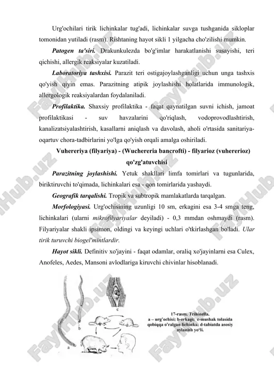 ydigidan va boshqa tana suyuqliklaridan gijjalarning tuxumini tekshirishdir. vrach kasallik qo'zg'atuvchi gijjalar tuhumlarining tuzilishni va ularni aniqlash usullarini yaxshi bilishi shartdir. bolalar muassasalari (bog'cha, yasli, bolalar uyi, oromgohlar, sanatoriylar, oziq-ovqat korxonalari va kasalxonalarda) xizmat qilayotgan har bir shaxs muntazam ravishda ovogelmintoskopik tekshiruvdan o'tishi shart. tibbiy muassasalarda (kasalxona va poliklinika, vrach va feldsherlar punktlarida) parazit gijjalar tuxumlarini aniqlash keng yo'lga qo'yilgan. ovogel'mintoskopik usullarning quyidagi uch turi amaliy tibbiyotda keng qo'llaniladi: nativ surkash usuli. bu usulda qo'llanilganda buyum oynasiga bemorning yangi axlatidan kichik bir bo так olinadi va ustiga glitserinning suvdagi 50%li eritmasidan yoki natriy xloridning izotonik eritmasidan bir tomchi tomiziladi. axlat glitserin eritmasi bilan aralashtirilib, shisha tayoqcha yordamida buyum oynasiga surkaladi. qoplagich oynacha bilan yopilib, mikroskop ostida tekshiriladi. mazkur usul juda oddiy, uni barcha laboratoriyalarda keng qo'llash mumkin, lekin uning kamchiligi - ko'p hollarda kutilgan natijani bermasligidir. cho'ktirish usuli. bemor yangi axlatining har er-har eridan namunalar olib, probirkaga solinadi. probirkalarga barobar …