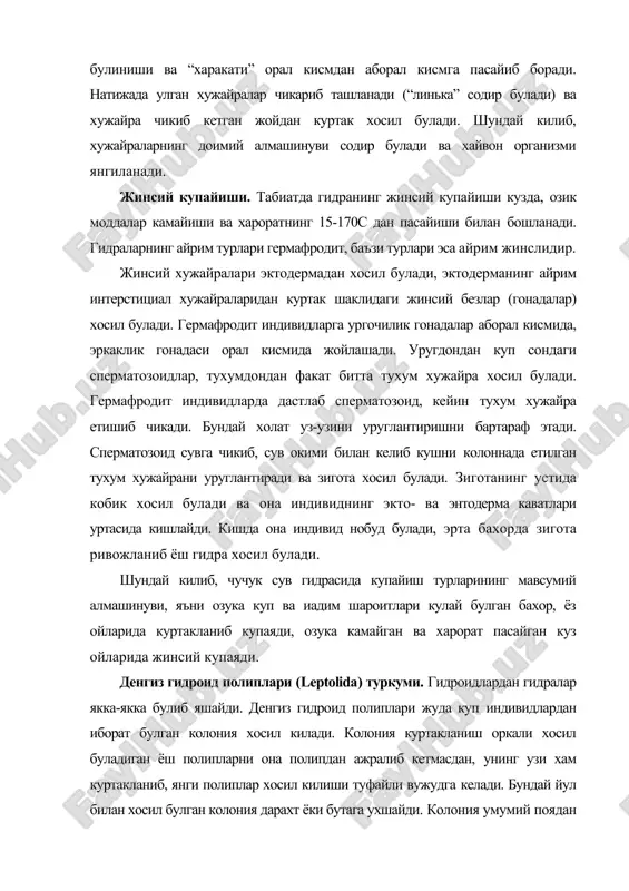лувчи медузаларни хосил киладиган индивидларни хосил килади (90-расм). бластостил шакли узгарган гидрант булиб, ундан пайпаслагичлари ва огиз тешигининг булмаслиги билан фарк килади. бластостил перидерма кобик-гонотека билан уралган. унинг учки кисмида копкокчаси бор. бластостил куртакланиш оркали жинсий насл-медузаларни хосил килади. обелия колониясидан медузалар ана шу усул билан хосил булади. расм. obelia полипи. а - колонияси; б - колониянинг бир кисми. 1-2 - гидрант; 3 - тека; 4 - куртак; 5 - ривожланаётган медузали бластостил; 6 - гидротека; 7 - гонотека (в.ф.натали, 1975) купчилик гидраларда медузалар бевосита гидрантлардан куртакланиш оркали хосил булади. обелия колониясидаги бластостиллардан хосил буладиган медузалар копкокча очилиши билан сувга чикиб, сузиб кетади. медузалар айрим жинсли, уларда жинсий хужайралар шаклланади. медузаларнинг тузилиши полипларга ухшайди, лекин уларнинг танаси соябон шаклида булади. умуман, хаёт кечириш хусусиятига кура, ковакичлилар утрок яшовчи полипларга ва эркин яшовчи медузаларга ажратилади. полиплар, одатда, колония хосил килади, медузалар эса эркин яшайди. лекин полиплар орасида хам якка яшовчи ва …