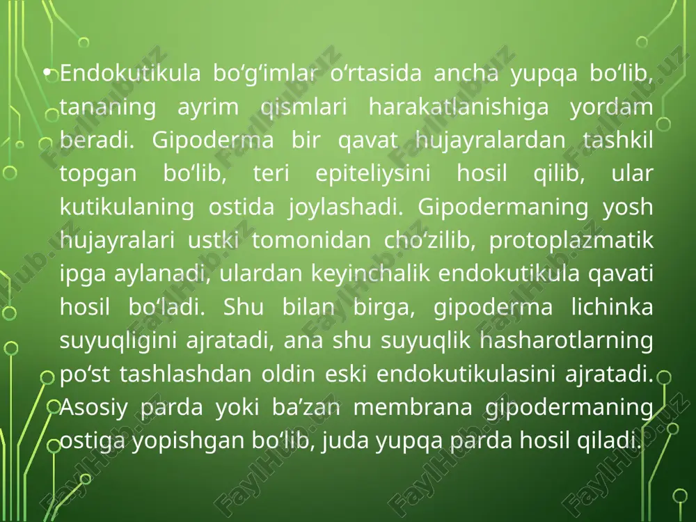 g tashqi yo‘li terining tashqi yuzasiga ochiladi. ba’zilarining yo‘li bo‘lmaydi. ularning sekreti «terlash» orqali tashqariga chiqadi. hasharotlarning teri bezlari mum beruvchi, hid beruvchi va zaharli, lak beruvchi yoki qo‘rqituvchi sekretlar ishlab chiqaradi. hasharotlar tanasi va uning o‘simtalarini qoplab turgan teri qoplag‘ichi kutikular – o‘zaro elastik parda vositasi bilan tutashgan qattiq parchalardan tashkil topgan. terining bu tartibda tuzilishi hasharot tanasining ust tomonidan segmentlarga ajralishini ta‘minlaydi. teri tuzilishidagi bu xususiyat hasharotlarga muskullari vositasida tananing turli qismlarini egishga va uning o‘simtalarini qimirlatishiga imkoniyat beradi. hasharotlarning terisi 3 ta asosiy qatlamdan, ya’ni kutikula, gipoderma va bazal membranadan iborat. kutikula terining ustki qismi bo‘lib, gipodermaning mahsuloti hisoblanadi va u hujayraviy tuzilshiga ega emas. kutikula hasharotning tashqi skeletini hosil qiladi. muskullarning yopishish joyi bo‘lib, uni mexanik va kimyoviy ta‘sirlardan himoya qiladi. kutikula murakkab gistologik tuzilishga ega va u tashqi hamda ichki qatlamlarga bo‘linadi tashqi qatlam yoki epikutikula juda yupqa (1-4 mikrondan oshmaydi) bo‘ladi. u strukturasiz bo‘lib, …