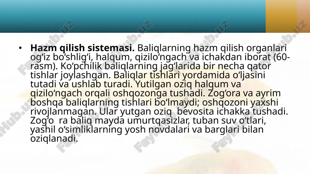 baliqlarning ichki tuzilishi. 7- sinf - Page 4