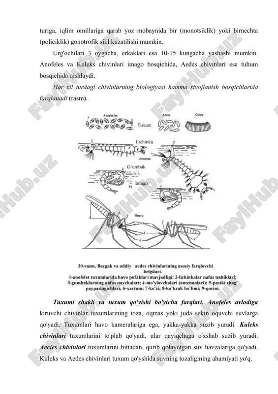 tirik tug'uvchi baliqlar - gambuziyalarni ko'paytirish orqali amalga oshiriladi. zooprofilaktika (suv havzalari va aholi yashaydigan joylar orasiga hayvon fermalarini qurish), biologik kurash choralari - chivinlar kasalliklari qo'zg'atuvchilarining tabiiy dushmanlarini ko'paytirish, tabiatga steril (nurlangan) erkak chivinlarni chiqarish yaxshi natija beradi. iskabtoparlar (phlebotomus) avlodi. iskabtoparlar - mayda qon so'ruvchi hashoratlardir. hamma joylarda yashaydi, ko'proq issiq iqlimli mamlakatlarda (markaziy osiyo, kavkaz orti, qrim) tarqalgan. ularning uzunligi l,5-3mm dan oshmaydi. sarg'ish yoki qo'ng'ir rangli, tanasi mayin tukhalar bilan qoplangan. og'iz apparati sanchib - so'uruvchi (urg'ochilamiki) yoki so'ruvchi (erkaklariniki) tipda tuzilgan. urg'ochilari qon bilan, erkaklari esa nektar bilan oziqlanadi. ular tuxumlarini organik qoldiqlari ko'p bo'lgan tuproqlarga qo'yadi. to'liq metamorfoz yo'li bilan ko'payadi (rasm). eng ko'p tarqalgan turi phlebotomus pappatasiidir. iskabtoparlar ektoparazitlar, teri va ichki leyshmanioz qo'zg'atuvchilarining spetsifik tashuvchisi, pappatachi isitmasi qo'zg'atuvchisining tashuvchisi hisoblanadilar. iskabtoparlarga qarshi kurash choralariga: ular chaqishidan reppellentlar, pashshaxonalar, deraza va eshiklarda pardalash yordamida saqlanish, iskabtoparlar tuxum qo'yadigan joylarni tozalash, zaharli ximikatlarni qo'llash …