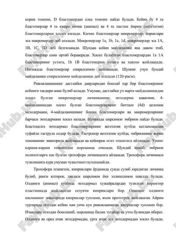 ан ва у 4d бластомерлардан хосил буладиган мезобластлардан (телобластлардан) ривожланади. маъум вактдан кейин трохофорада метаморфоз жараёни бошланади. личинканинг орка (вегетатив) ярим шар кисми усиб, сегментлари сони 13 тагача етади. хар бир сегментда параподиялар ва киприклар пайдо булади. шу даврда хар иккала мезодермал хужайралар тез купайиб, ичакнинг ёнида иккита мезодермал бушликни хосил килади. тезда ташки сегментация таъсирида мезодермал бушлик хужайралари хар бир сегмент атрофида тупланиб жойлашади. бу хужайралар калинлашиб, бушлик хосил булади. кейинчалик бу бушлик иккиламчи тана бушлиги, яъни целомга айланади. бу мезодермал бушлик ёки сомитлар тери-мускул халтасигача усиб соматоплевра, ичакнинг устки ва остки томонигача усиб спланхноплеврани хосил килгунча усади. хар бир сегментдаги целомни бир-биридан ажратиб турадиган икки каватли диссепимент парда хосил булади. целомни гавда деворидан ва ички органлардан ажратиб турадиган перитонеал эпителий сомитларнинг деворидан хосил булади. ичаклар мезентерийларга осилгандек туради. бу мезентерийлар жуфт сомитларнинг жуфтлашган жойидан хосил булади. елка ва корин мезентерийлари уртасида бушлик булиб, ундан елка ва корин кон …