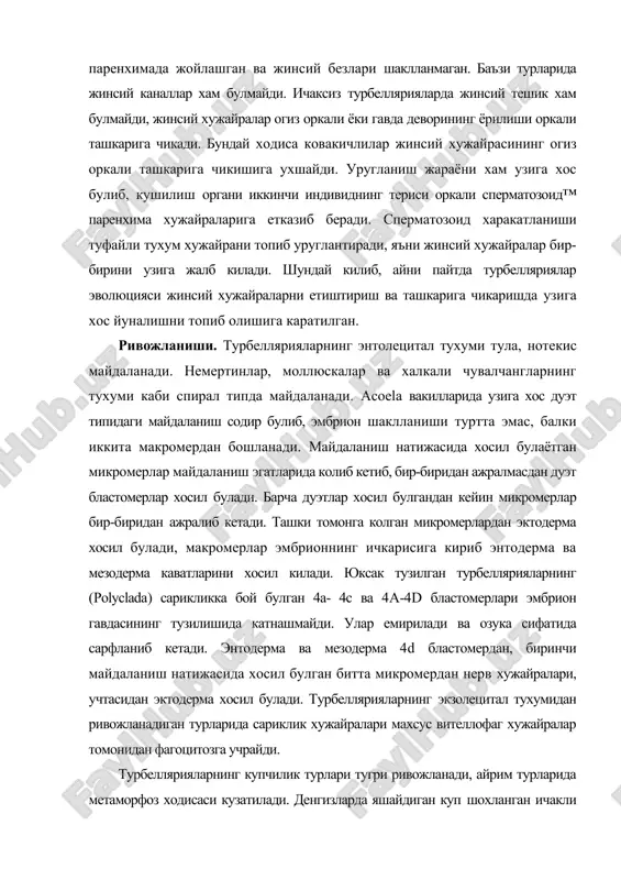 рияларининг таркалишини таъминлайди. денгиз тулкини билан турбелляриялар личинкаси кенг майдонларга таркалади ва аста-секин жинсий вояга етган хайвонга айланади. бу даврда уларнинг опи гавданинг олдинп, кисмига силжийди, огиз атрофидаги усимталар камаяди, гавдаси узунчок шаклга киради. личинка сув тагига тушади ва билатериал симметрия хдаатига утади. экзолецитал тухум ривожланиши бошкача йул билан амалга ошади. экзолецитал тухумли ок планария битта пилласининг ичида 20-40 та тухум ва 80-90 мингта сарик хужайра булади. сарик хужайралар хар бир тухум хужайранинг атрофини ураб олади ва кейинчалик сарик хужайралар бир-бири билан кушилиб кетади. натижада синцитий хосил булади. майдаланиш туфайли хосил булган бластомерлар сариклик массасида таркок жойлашади. бластомерлар уч гурух хужайраларни хосил килади, уларнинг икки гурухи сариклик моддасини истеъмол килади (трофоцитлар), учинчи гурухи эса эмбрионнинг узини хосил килади. ок планария тугри ривожланади, яъни пилланинг ичида кичик планария шаклланади. жинссиз купайиш турбеллярияларнинг macrostomida, gatenulida, seriata туркумлари вакилларида учрайди. буларда жинссиз купайиш кундаланг булинишдан бопшанади. айрим турлари бутун бахор, ёз ойлари давомида …