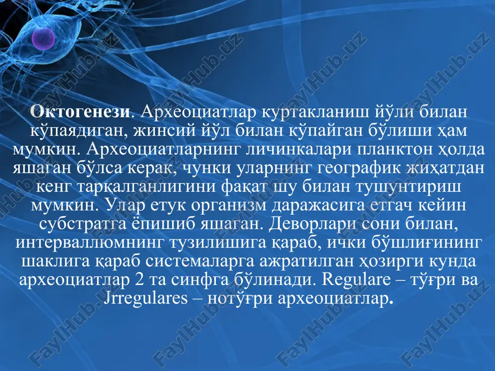 археоциатлар типи - Page 4