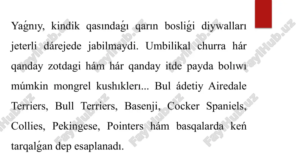 kinologiya hám it kesellikleri - Page 4