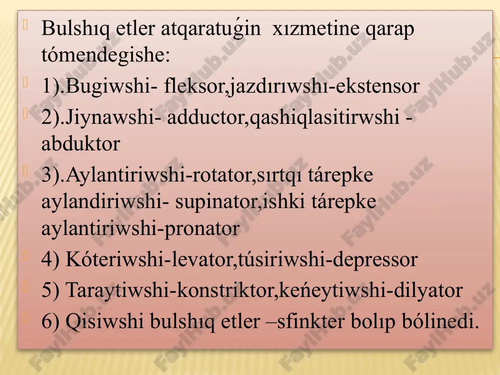 i; 35 - barmaqlardi búgiwshi ústińgi sińirler; 36 - barmaqti búgiwshi tereń bulshıq et sıyırdıń ústińgi bulshıq etleri (teri astı bulshıq etleri alinǵan ) 1 - murın-erindi kóteriwshi bulshıq et; 2 - sırtqı sheke bulshıq et; 3 –úlken shaynaw bulshıq eti; 4 - ventral qulaq bulshıq eti; 5 - trapeciya tárizli bulshıq ettiń moyın bólimi; 5'- trapeciya tárizli bulshıq ettiń kókirek bólimi; 6 –iyin-bas bulshıq et; 7 - jelke omiraw bulshıq eti; 8 -iyin-atlant bulshıq et; 9 – tós-jaq bulshıq et; 10 -. deltatárizli bulshıq ettiń akromial bólimi; 11 – delta tárizli bulshıq ettiń jawırın bólimi; 12 - jawırınniń keń bulshıq eti; 13 - iyinniń úsh basli bulshıq etinińuzın bası; 14 - iyinniń úsh basli bulshıq etiniń laterial bası; 15 –iyin bulshıq eti; 16 - bilek bilezigi buwının jazdırıwshı bulshıq et; 17 – barmaqlardi uliwma jazdırıwshı bulshıq et; 18 - barmaqlardi qaptaldan jazdırıwshı bulshıq et; 19 - bilezik buwının jazdırıwshı …