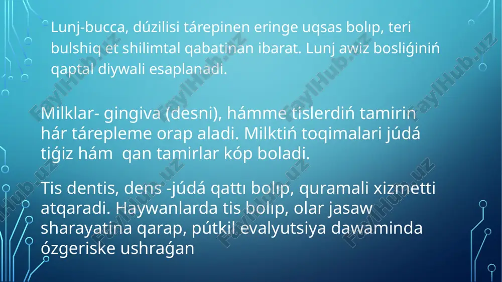 as sin’iriw organalar sisteması - Page 4