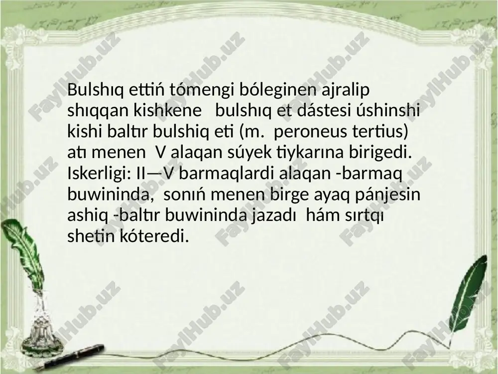 aldingi ham artqi ayaq bulshiq etleri - Page 4