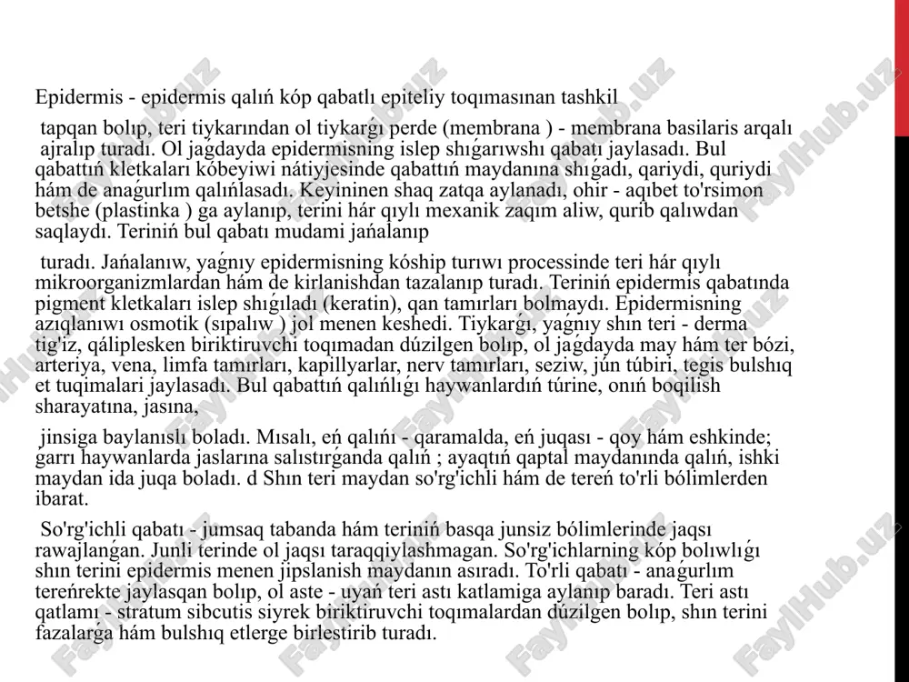 r hám órmekshi tárizlilerde ókpe jáne traxeyalardan (órmekshilerde ókpe hám traxeyalar, shayanlarda ókpe, falanga hám ayırım kenelerde traxeyalar) ibarat. mayda shayan tárizlilerde arnawlı dem alıw organı joq. olarda xitin qaplamı juqa bolıp, dem alıw dene beti arqalı ámelge asadı. dem alıw organları filogenezi jer bawırlawshılarda dem alıw jolları – kómekey, traxeya hám bronxlar tolıq qáliplesken. olardıń ókpeleri mayda gewek tárizli, kóp sanlı ishki uyashalarǵa hám úlken dem alıw bet qolemine iye. biraq olarda bronxlar shaqlamaydı. dem alıwı, tiykarınan, qabırǵa aralıq hám qarın bulshıq etleriniń qısqarıwı esabına júz beredi. dem alıwda teri qatnaspaydı. quslardıń ókpesi jaqsı rawajlanǵan. olardıń ókpesinde bronxlar tarmaqlanıp, bronxiolalar menen tamamlanadı. quslar ushıwǵa beyimleskenligi sebepli, ókpesiniń ekilemshi bronxları izi hawa qaltashaların payda etedi. hawa qaltashaları bulshıq etler arasına, teri astına hám súyek boslıqları-na jetip baradı. ushıw waqtında bul qaltashalar hawa menen tolıp, dene salmaǵın jeńillestiredi. bunnan tısqarı, hawa qaltashalarındaǵı atmosfera hawası dem shıǵarıp atırǵanda ókpeden ótip, qandı ekinshi …